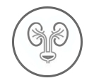 Urologie icoon
